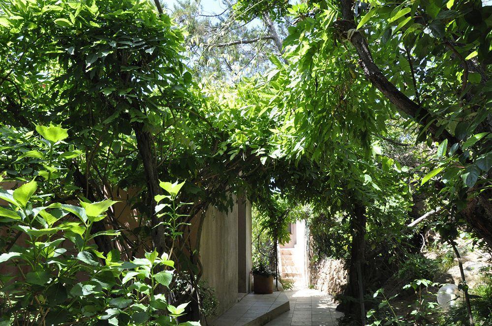 Private Hotel - Adult Only بورتو فيكشْيو المظهر الخارجي الصورة